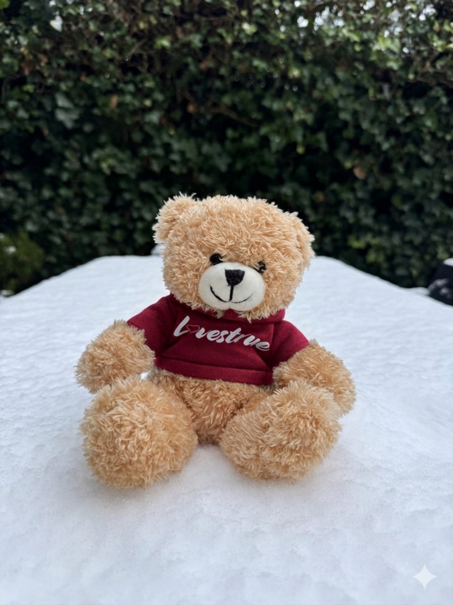 Oso Freddy